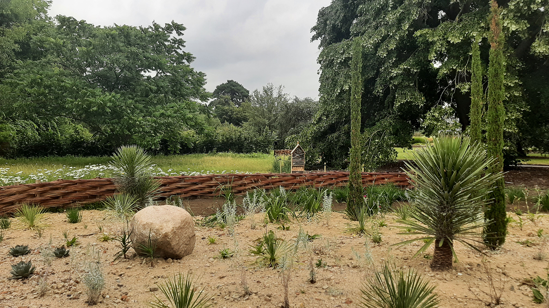 Visit the Carbon Garden at Kew Gardens. © Visit London/Sigrun Tomicki A view of plants in a sandy soil with a green meadow and trees in the background.