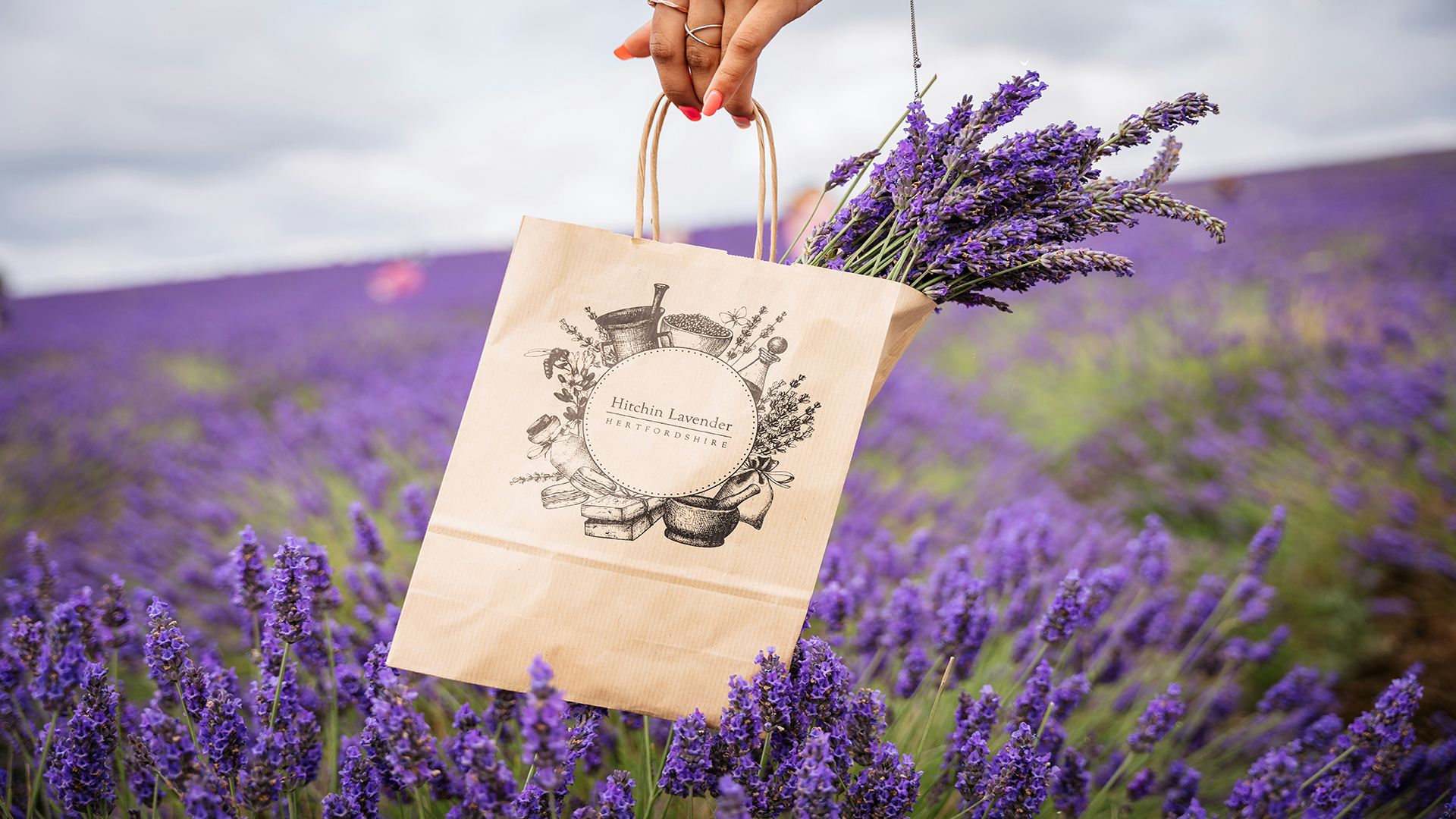 Enjoy the fields of Hitchin Lavender. ©Unsplash/Dixit Dhinakaran A hand holding a paper bag with fresh lavender in it with the Hitchin Lavender logo and a lavender field in the background.