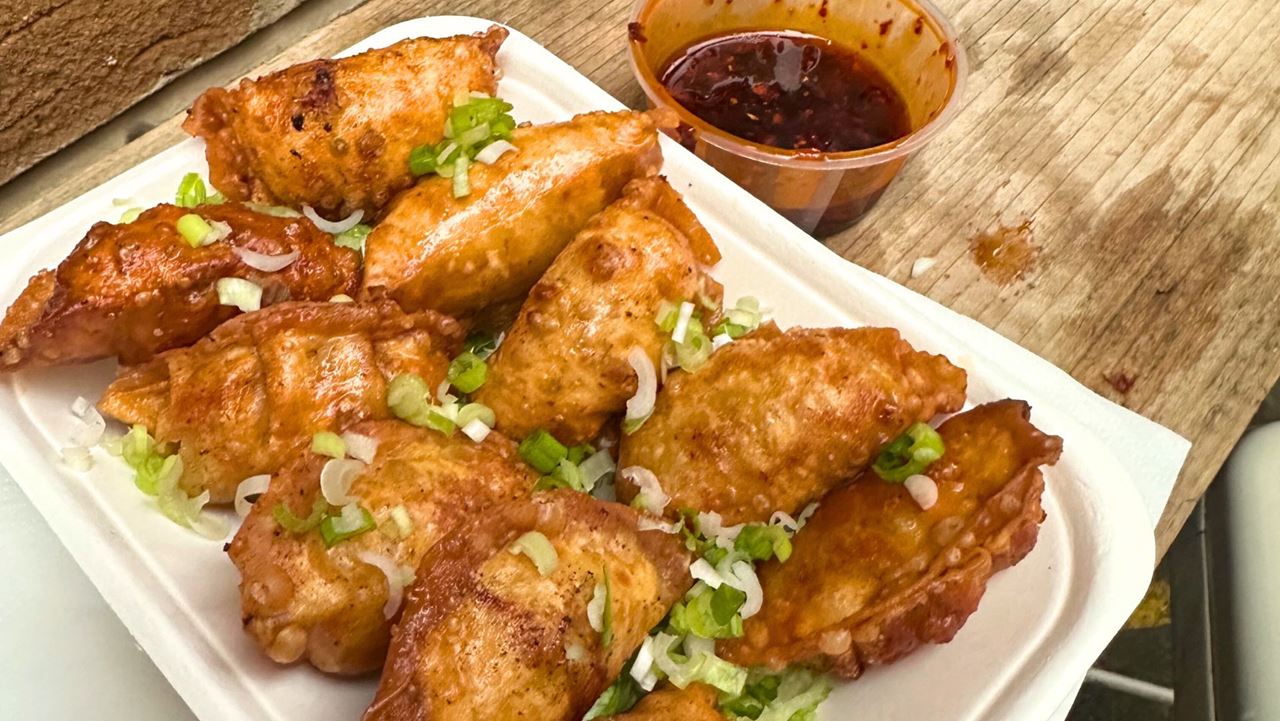 Mr Dumpling's chicken dumplings. Image courtesy of Kirstine Spicer. Mr Dumpling's chicken dumplings sprinkled with spring onions on a takeaway plate, plus a pot of dipping sauce, on a bench.