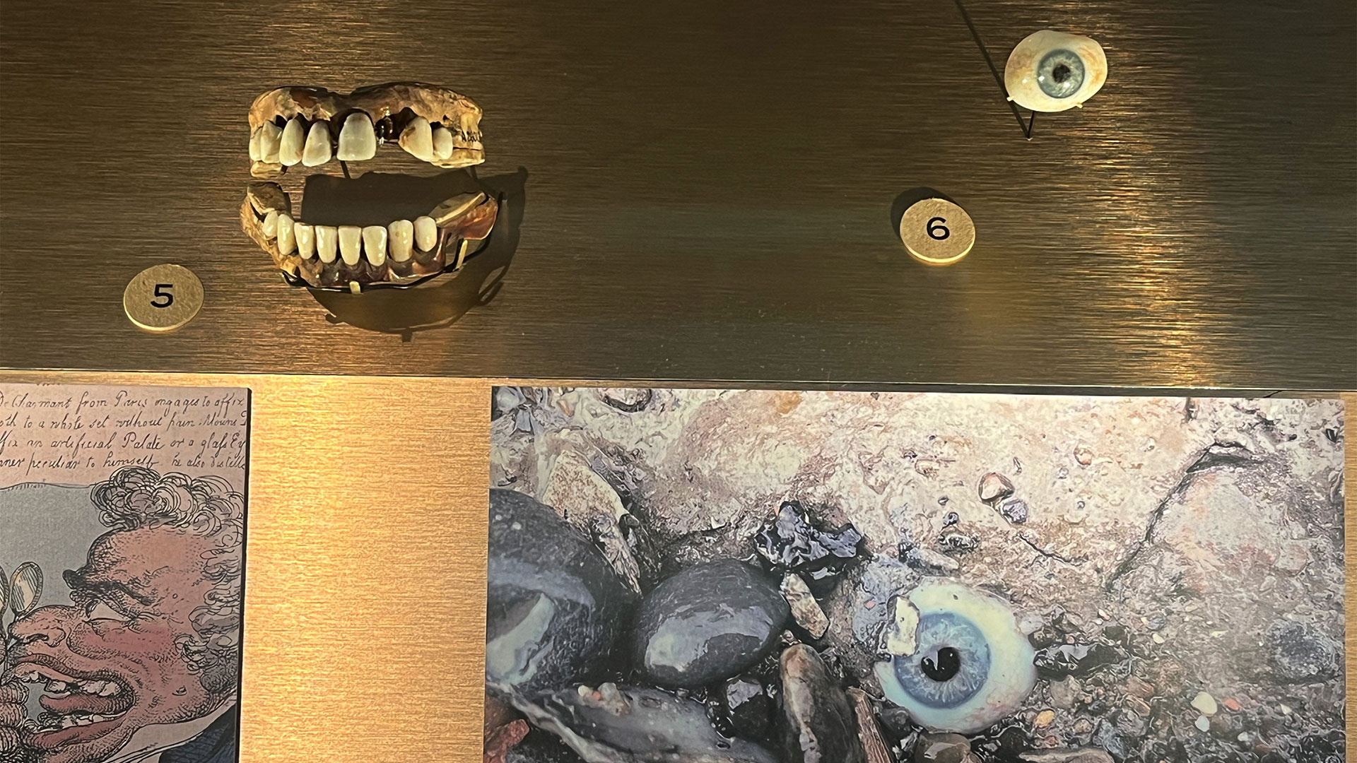 Discover extraordinary objects when you visit the Secrets of the Thames exhibition at London Museum Docklands. Image courtesy of Carole Rocton. A prosthetic eye and a set of dentures are on display at London Museum Docklands.