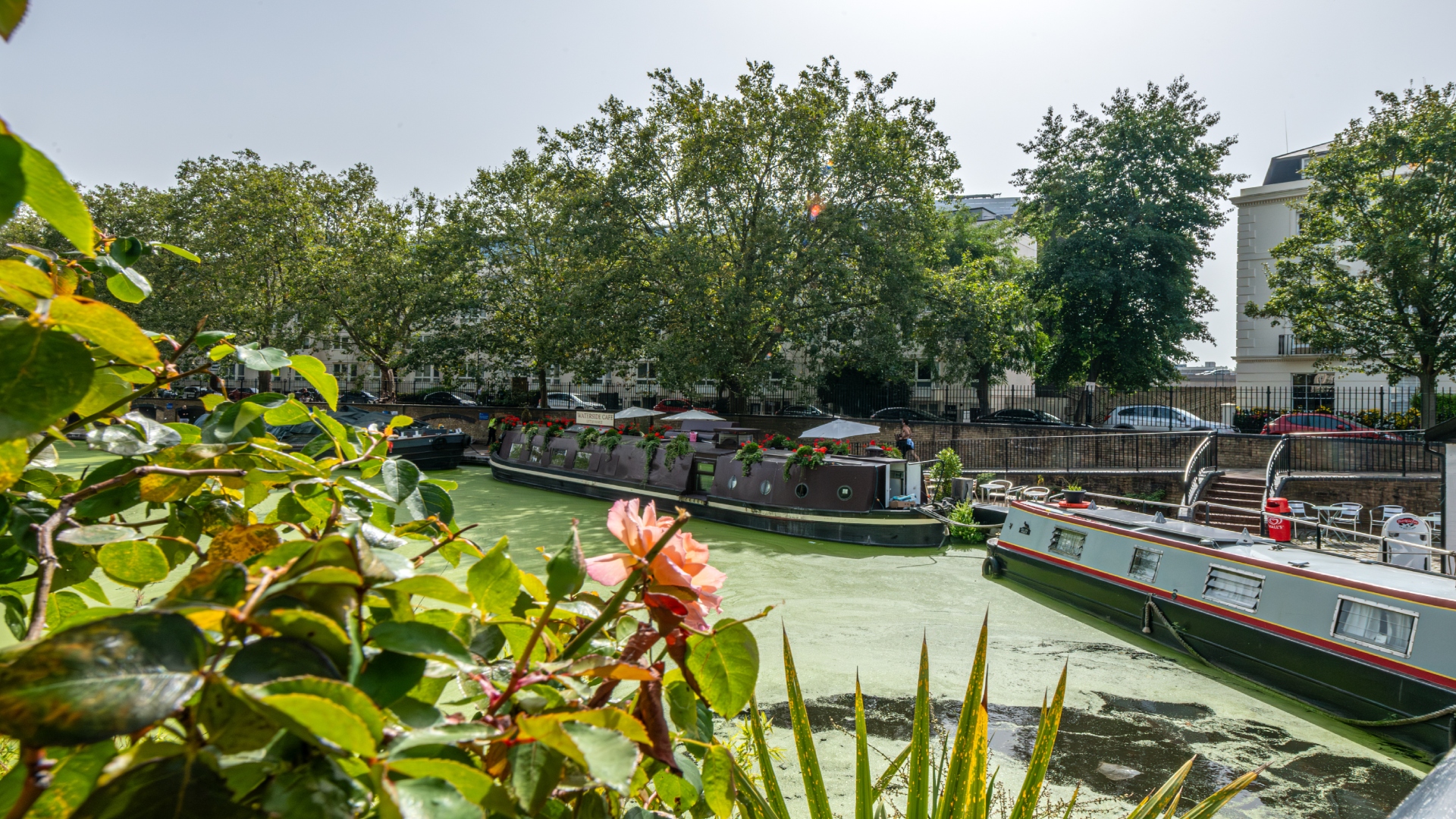Little Venice pictured in summer. © London & Partners/Michael Barrow Little Venice pictured on a sunny day