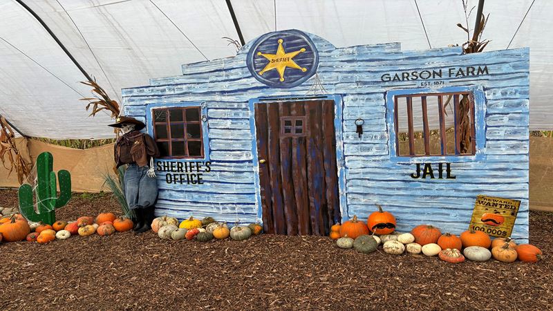 A wooden jail cell with a stuffed sheriff figure in front of it surrounded by pumpkins.