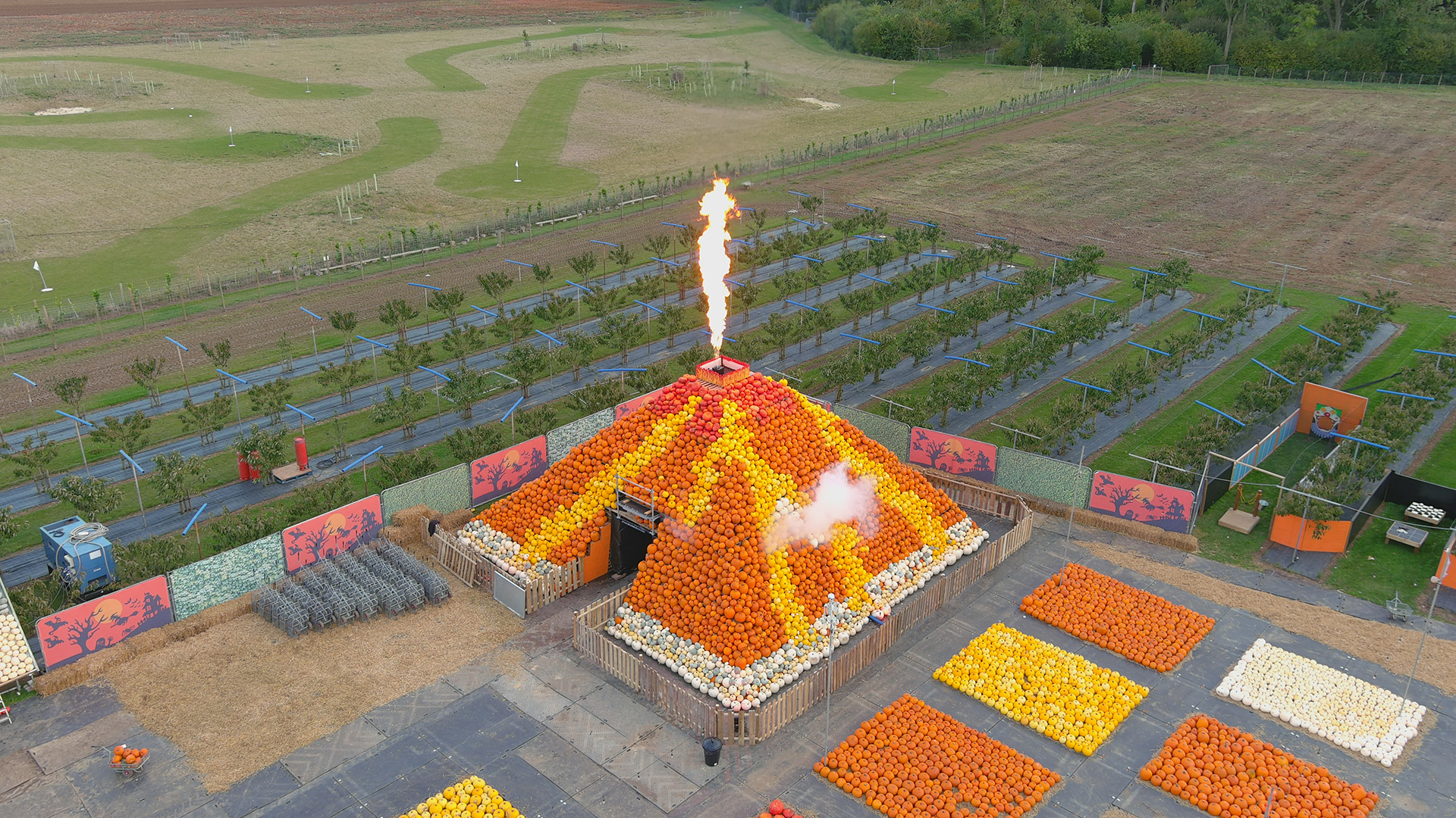 Check out the Pumpcano as part of your visit to Cammas Hall Farm. Image courtesy of Cammas Hall Farm. Fields with lots of different coloured pumpkins and a pumpkin volcano build of lots of pumpkins in yellow and orange spitting fire.