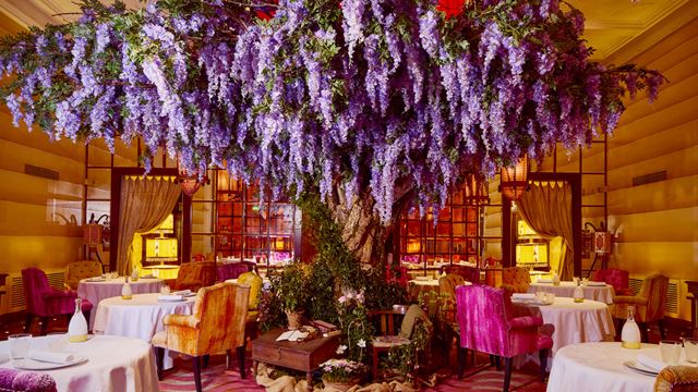 A large wisteria tree stands in the centre of The Lecture Room & Library at Sketch London, part of the 250th anniversary celebrations of Jane Austen's legacy.