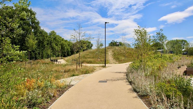 A scenic park with a paved path that forks in two directions, surrounded by lush greenery, wildflowers, and a hill in the background. A street lamp and benches are visible under a blue sky with scattered clouds