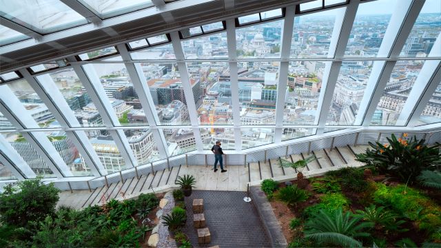 The view over London from Sky Garden. Image © visitlondon/City of London/Antoine Buchet A person looking out over London from the rooftop of a glass building