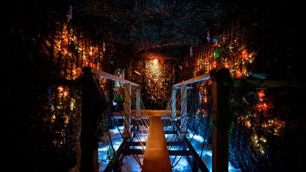 Explore the mystical and immersive world of Avora: New World Cocktail Experience. Image courtesy of Golden Tours.
