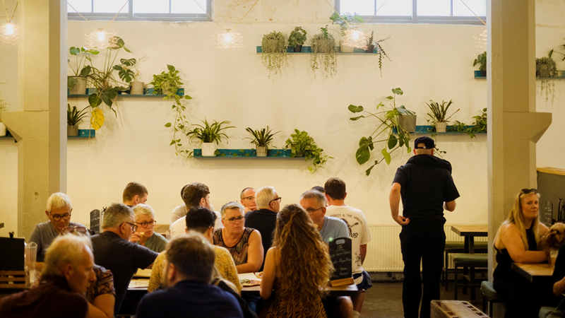 Tables of people line one of the indoor rooms at Crate Brewery with shelves of green plants hanging on the walls behind them