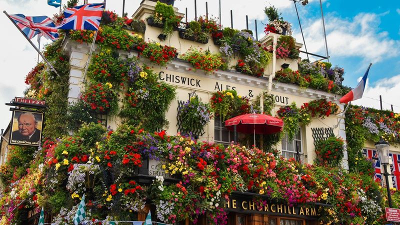 The colourful Churchill Arms pub in Kensington. Credit: Vincent Creton. Image courtesy of Unsplash. The exterior of The Churchill Arms, which is covered in hanging baskets, shrubs and flowers, with a pub sign showing Winston Churchill's face.
