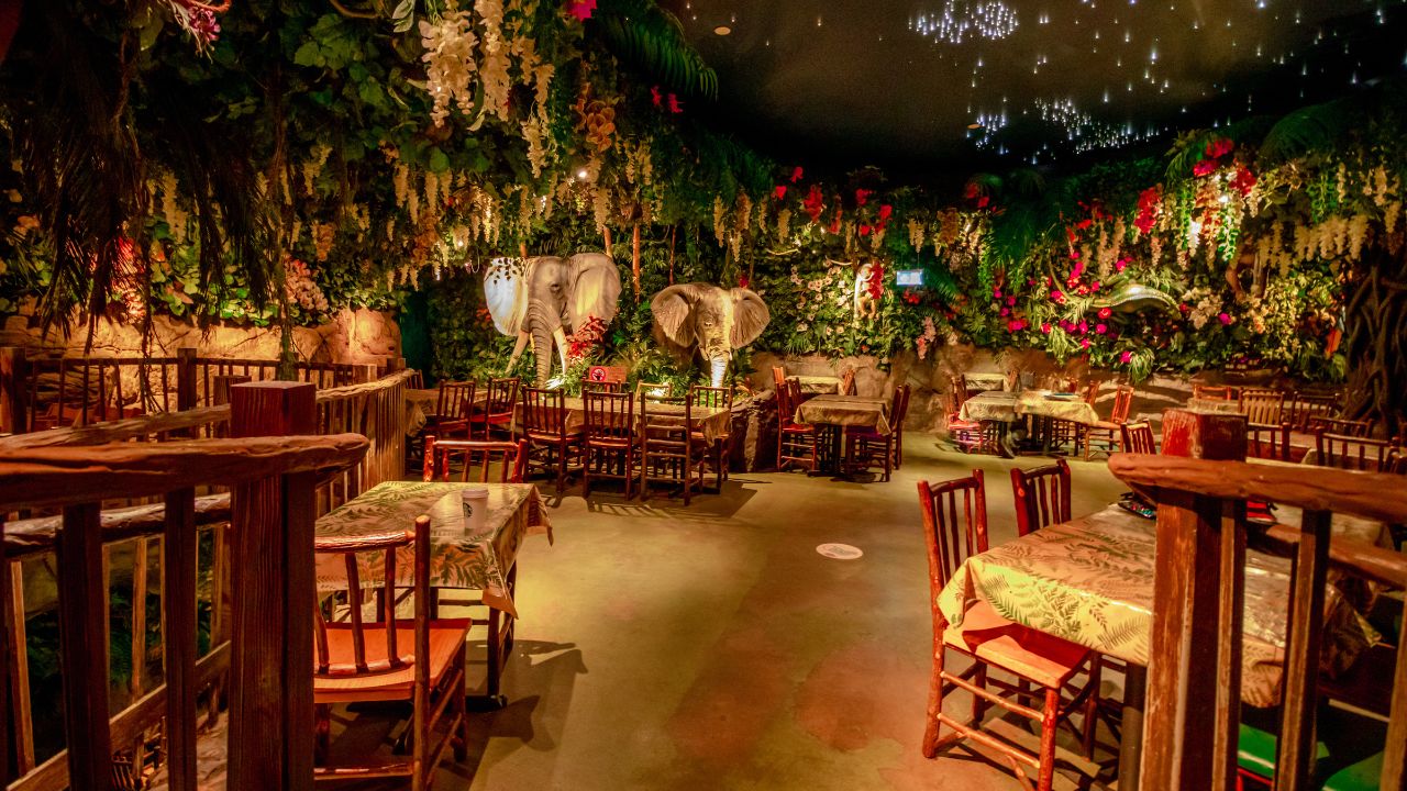 Image courtesy of Jungle Cave. A rainforest themed cafe with plants and animals in london.