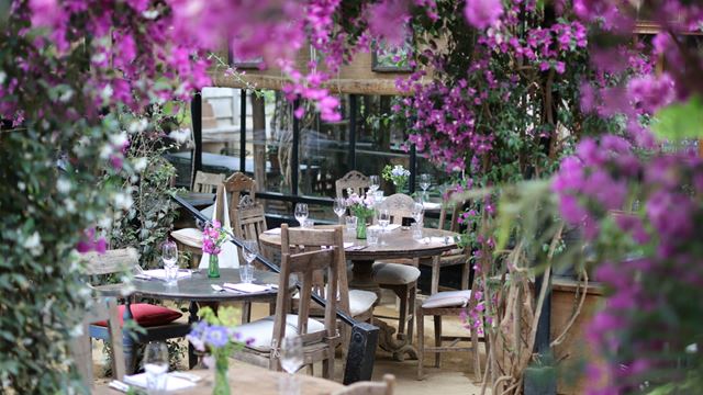 Petersham Nurseries flower filled garden restaurant