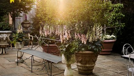 The Petersham Nurseries Restaurant. Credit: Andrew Montgomery. Image courtesy of Petersham Nurseries.