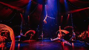 dark circus-themed stage with dramatic mood lighting and acrobats performing stunts