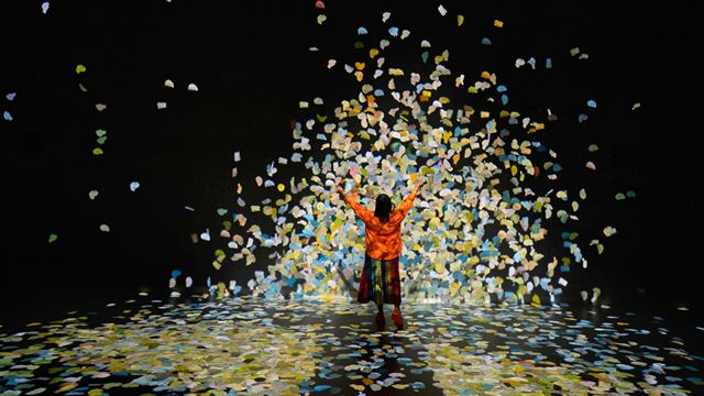 A woman in a red jumper and black skirt interacts with petals on a big screen at immersive art space, frameless.