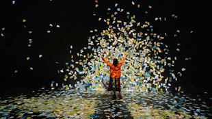 A woman in a red jumper and black skirt interacts with petals on a big screen at immersive art space, frameless.