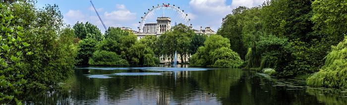Fountain and trees in front of London Eye