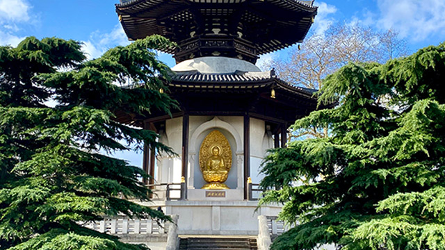 The Peace Pagoda surrounded by trees at Battersea Park.