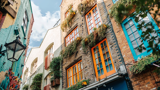 Front of colourful buildings at Neal's Yard