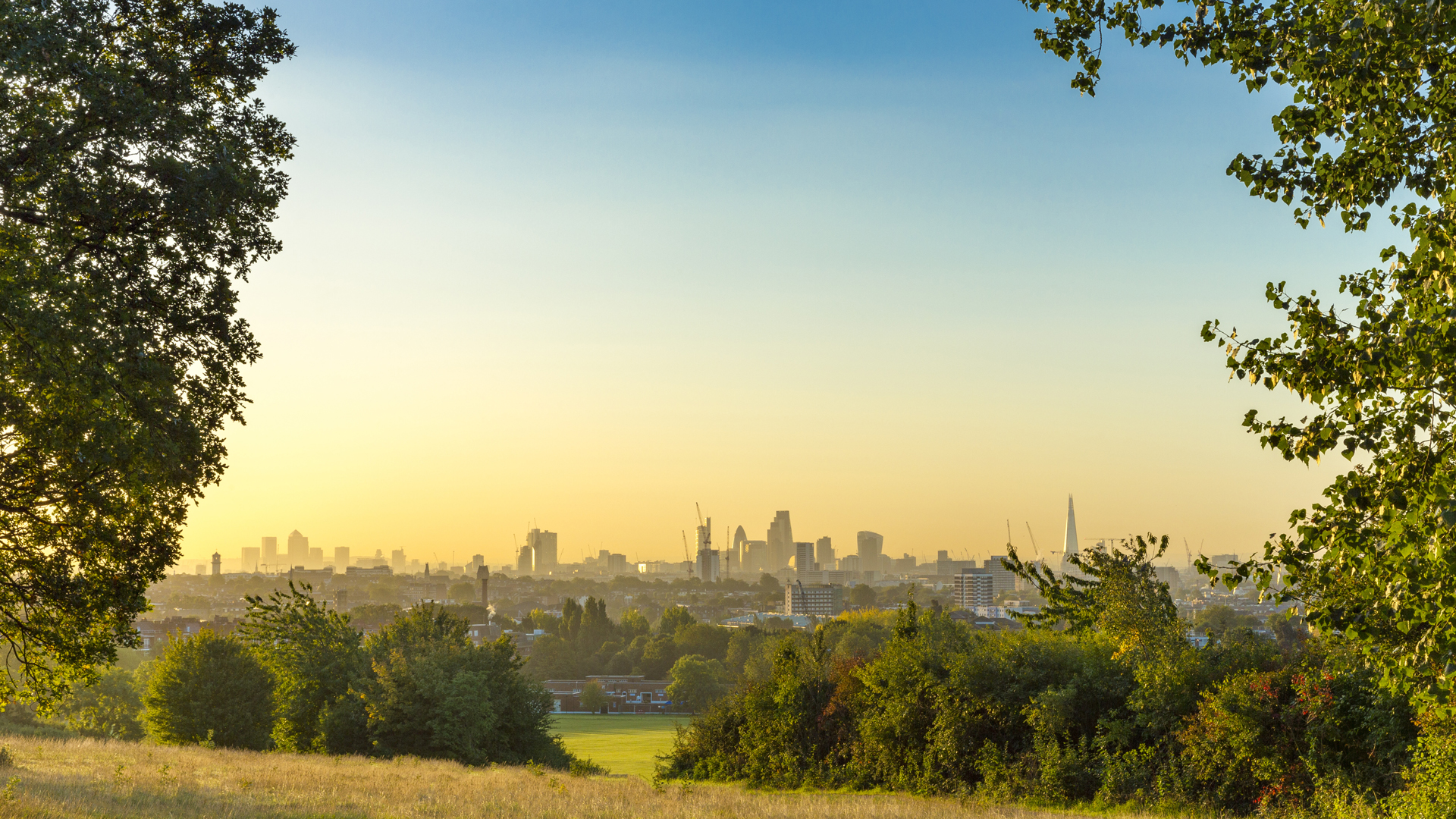 Views of the London skyline from Hampstead Heath. Image courtesy of Shuttershock. The London skyline on a sunny day framed by trees and grassy spaces on Hampstead Heath.