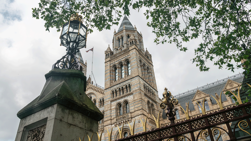 Head to South Kensington where you'll find the Natural History Museum. Credit: Michael Barrow. Image courtesy of London & Partners. A view of the grand Natural History Museum from the front of the intricate gate