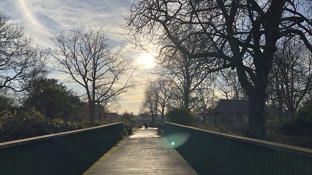 sun shines on a bridge surrounded by trees at Walthamstow Wetlands
