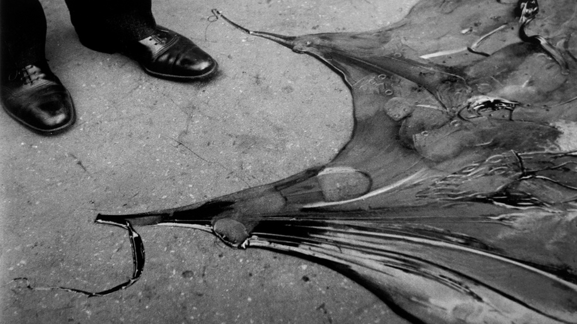 Lee Miller, Untitled, Paris 1930. Lee Miller Archives. Image courtesy of Tate/Lee Miller Archives, England 2025. Lee Miller, Untitled, Paris 1930. Lee Miller Archives.