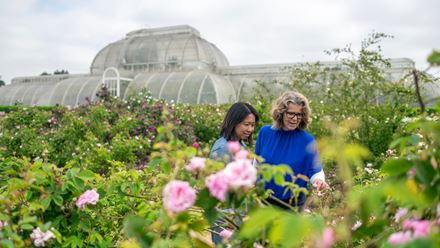 The Temperate Greenhouse at Kew Gardens