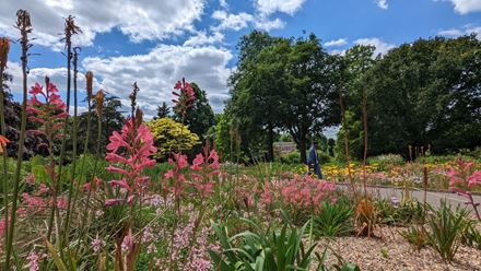 Horniman Museum gardens and grassland. Image courtesy of Horniman Museum and Gardens.