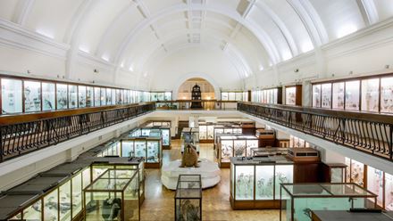 Horniman Museum Natural History Gallery. Credit: Sophia Spring. Image courtesy of Horniman Museum and Gardens.