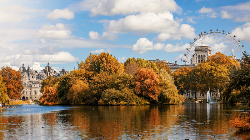 Admire Buckingham Palace and London Eye from St James's Park. Credit: Shutterstock. Image courtesy of Shutterstock. View of Buckingham Palace and London Eye across the lake and autumn foliage