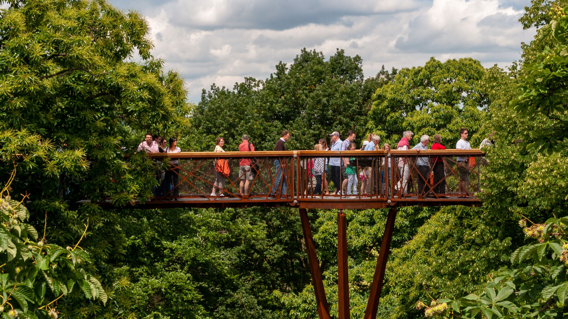 Walk among the trees at the Kew Gardens Treetop Walkway. Credit: Shutterstock. Image courtesy of Shutterstock. People walk along the steel walkway at Kew Gardens surrounded by green trees