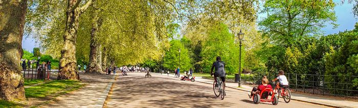 People cycling along a leafy route in Hyde Park