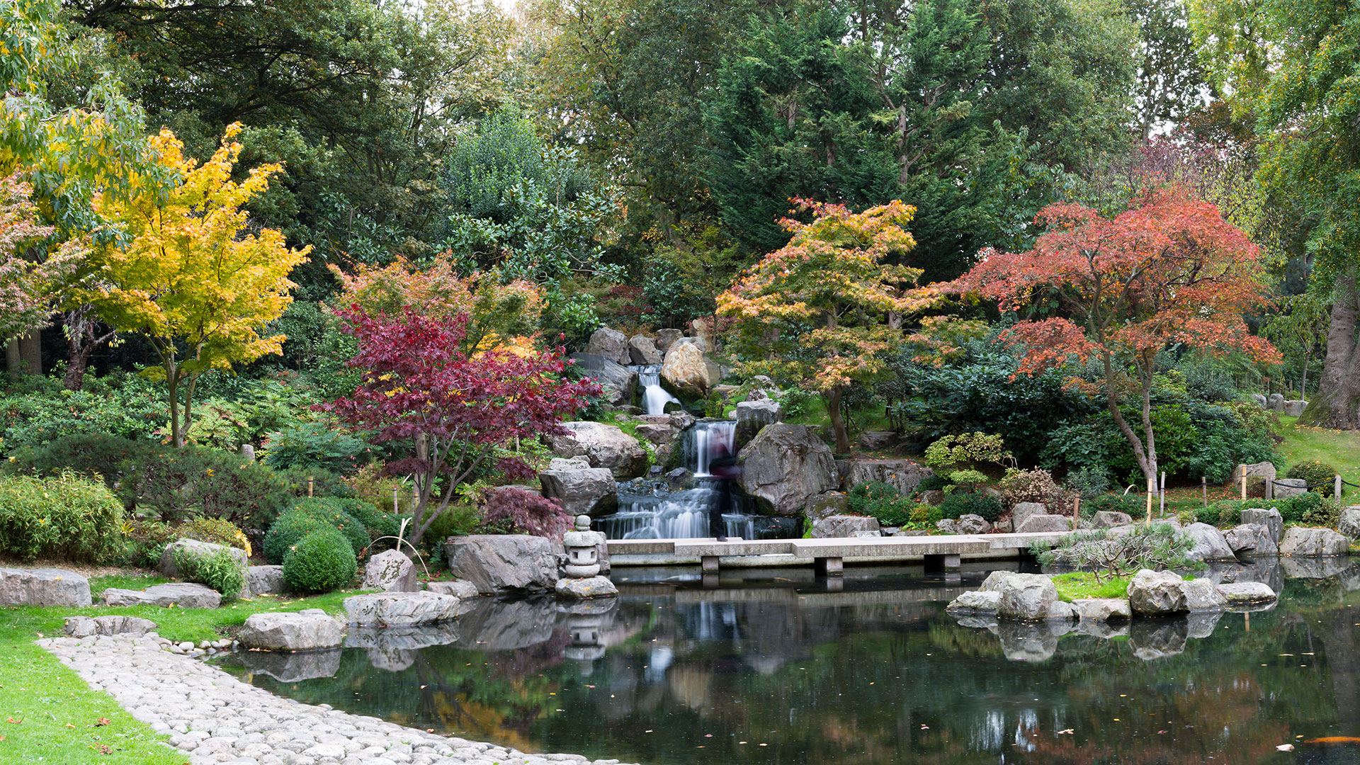 Take time to admire the spectacular Kyoto Garden. Image courtesy of Shutterstock.. A waterfall cascades down rocks into a pool, surrounded by acers and other foliage, at the Kyoto Garden in Holland Park.