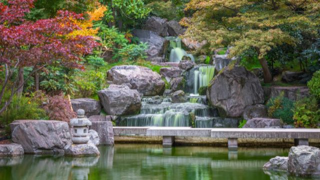 A garden feature of plants and water at the beautiful Kyoto Garden in Holland Park in London.