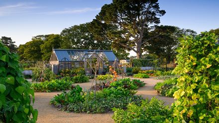 World Food Garden at RHS Wisley. Image courtesy of RHS Garden Wisley, credits: Jason Ingram