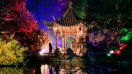 Discover lights, sights and sounds at RHS Glow Wisley. Image via RHS / Oliver Dixon