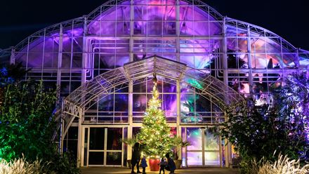 Enjoy everything the festive period has to offer at RHS Glow at Wisley. Image courtesy of RHS / Oliver Dixon.