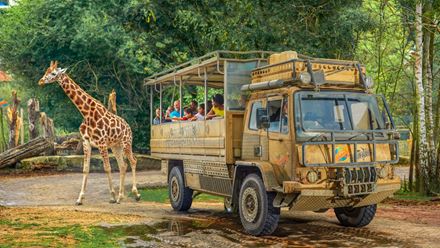 The Zufari at the Chessington World of Adventures resort. Image courtesy of Chessington World of Adventures.