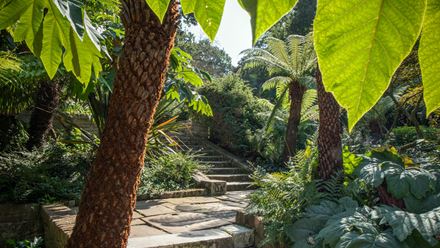 A pathway in Holland Park. Photo: Michael Barrow. Image courtesy of London & Partners.