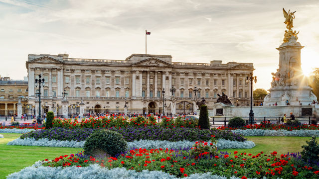 Buckingham Palace © visitlondon.com/Jon Reid. The façade of Buckingham Palace, with flower beds in the foreground, at dusk