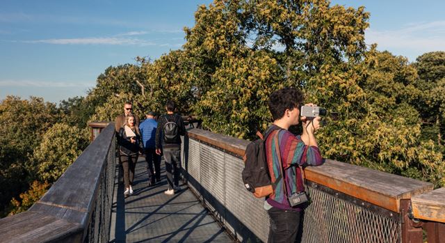 People walking on one the bridges at Kew Gardens on a sunny day.