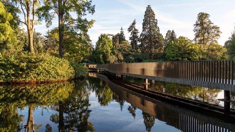 Reflections of trees in the water surrounding the Sackler Bridge at Kew Gardens.