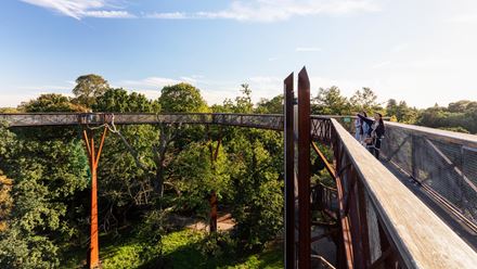Treetop walkway, Kew Gardens © visitlondon.com/Jon Reid.