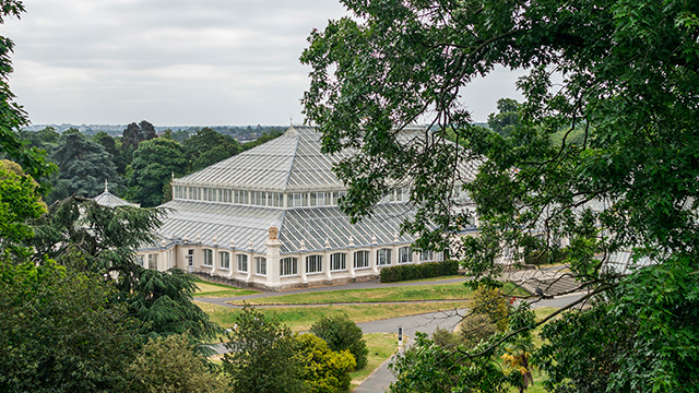 Panoramic view of the Temperate House surrounded by a green canopy at the royal botanical gardens of Kew Gardens.
