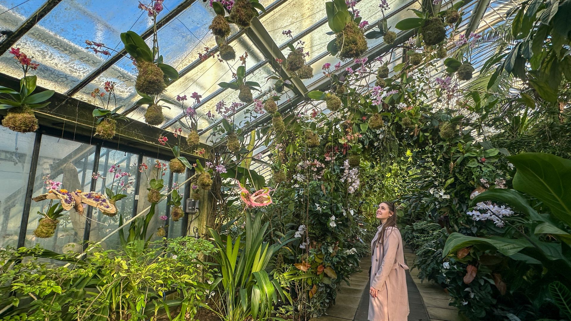 Discover incredible floral wildlife installations at the Kew Gardens Orchid Festival. © Visit London/Kirstine Spicer A woman stands looking up at floral butterflies at kew gardens orchid festival.