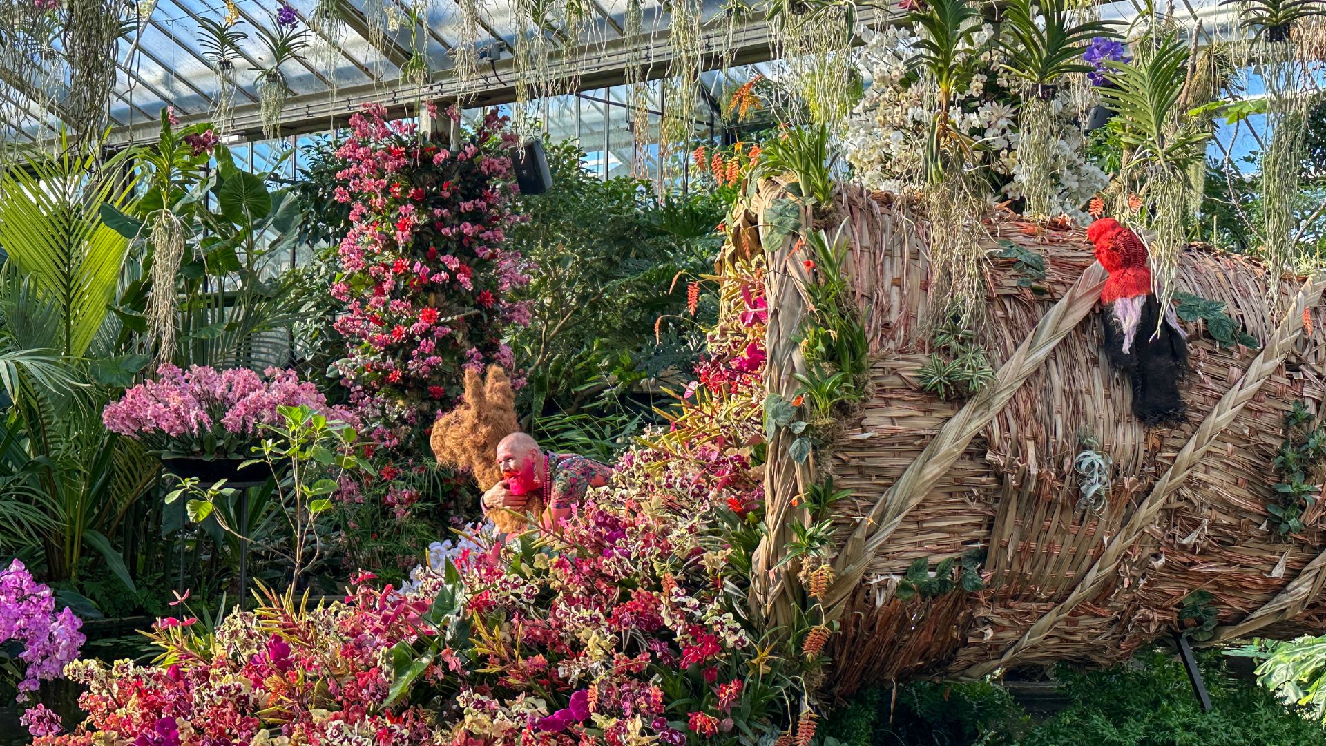 The artists of the Kew Garden Orchid Festival get up close with the installations. © Visit London/Kirstine Spicer A man with a pink beard hugs a plant alpaca next to a cornucopia at the Kew Gardens orchid festival 2025.