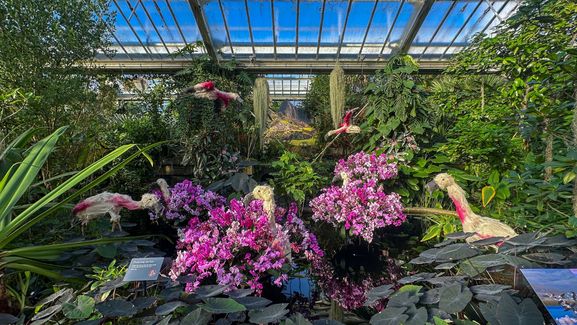 See Peru's landmarks immersed in flora and fauna at Kew Gardens Orchid Festival 2025. © Visit London/Kirstine Spicer An image of macchu picchu surrounded by flowers and sculptures at kew gardens.