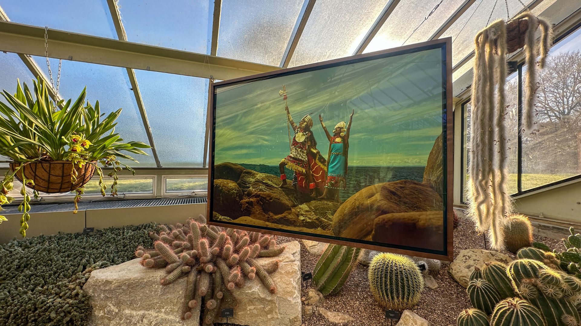 See work by world-famous Peruvian photographer Mariano Vivanco. © Visit London/Kirstine Spicer A photograph of traditionally dressed Peruvian people among a selection of cactus.