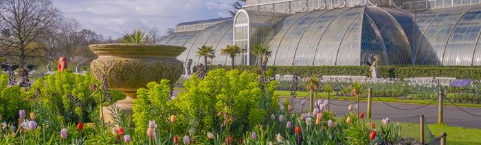 Green plans and brightly coloured flowers in front of the palm house at kew gardens.