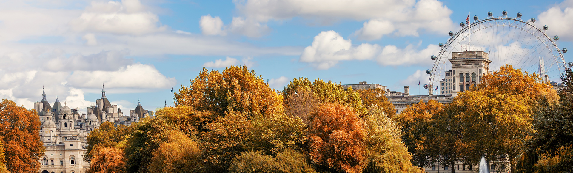 The autumn colours of St James Park with the London Eye behind